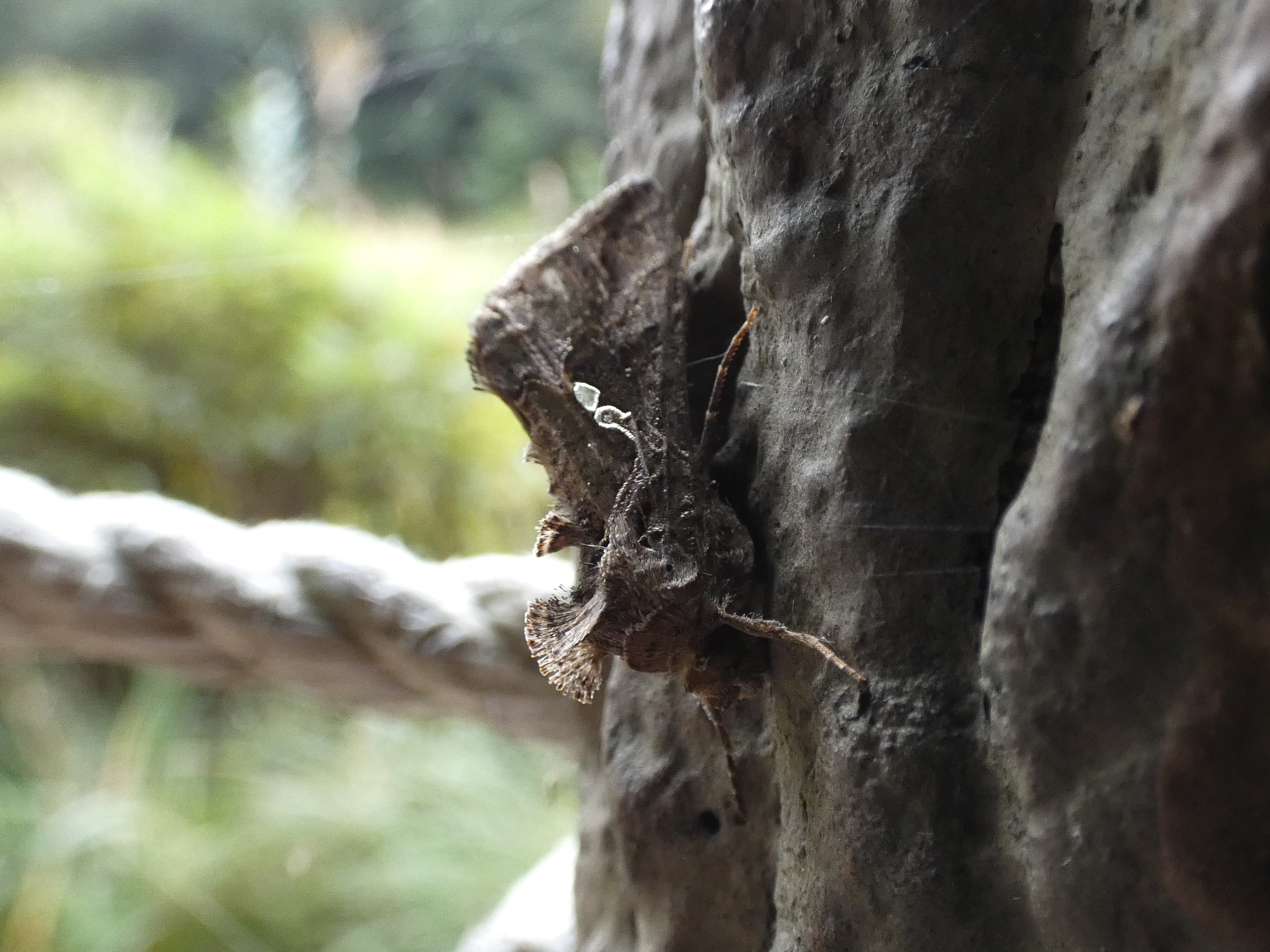 photo_1